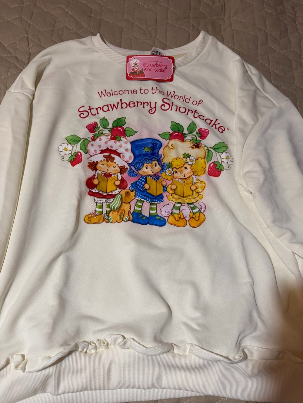 Strawberry shortcake NWT sweatshirt 2X